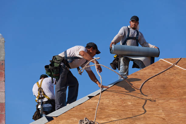 Best New Roof Installation  in Ferrysburg, MI