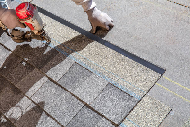 Best Roofing Contractor Near Me  in Ferrysburg, MI